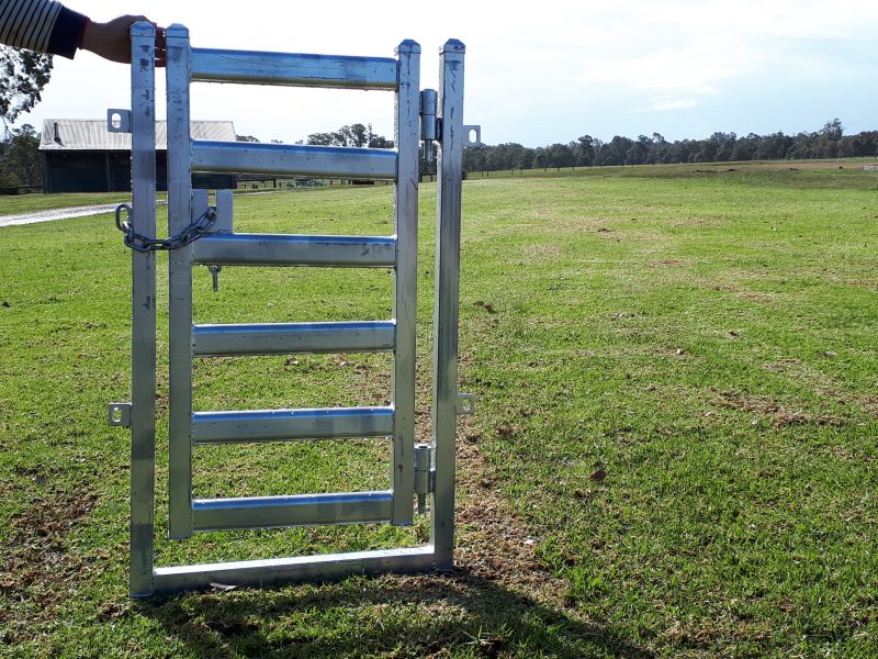 Sheep Drafting Gate -600 - AG Wide Wholsalers