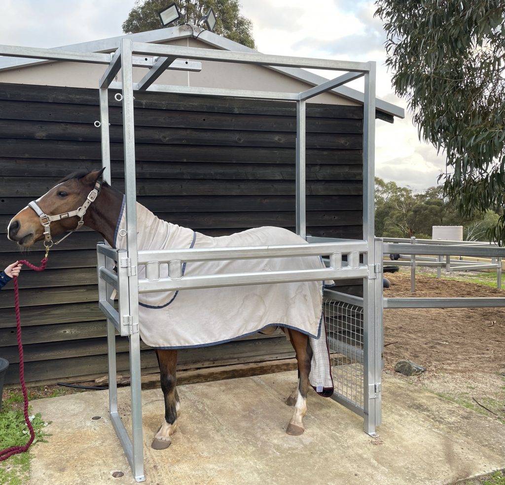 Premium Horse Crush Assembly AG Wide Wholsalers