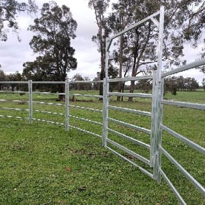 Cattle/Horse Panel - 5 Rails - AG Wide Wholsalers