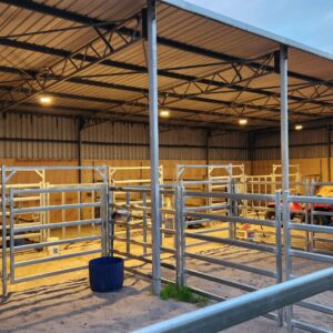 BUDGET- HORSE STABLE PACKAGES